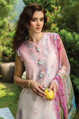 Solace Ombré By Mushq Unstitched 3 Piece Emb Chikankari Suit-04-Sorriso