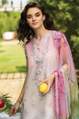 Solace Ombré By Mushq Unstitched 3 Piece Emb Chikankari Suit-04-Sorriso