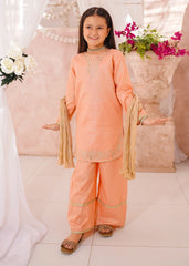 Modest Cotton Lawn Embroidered 3 Pc Suit