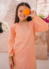 Modest Cotton Lawn Embroidered 3 Pc Suit