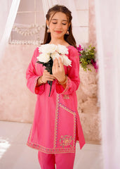 Modest 3 Piece Cotton Lawn Embroidered Suit