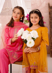 Modest 3 Piece Cotton Lawn Embroidered Suit