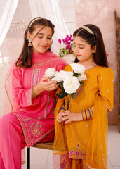 Modest 3 Piece Cotton Lawn Embroidered Suit