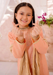 Modest Cotton Lawn Embroidered 3 Pc Suit