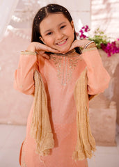 Modest Cotton Lawn Embroidered 3 Pc Suit