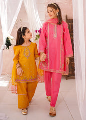 Modest 3 Piece Cotton Lawn Embroidered Suit