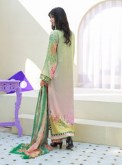 Anayra Amal Stitched-Still Motion