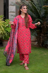 Amna Ali Nawaz Stitched 3 Piece Lawn Suit-NAJJAT