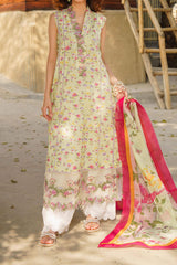 Meraki by Asifa N Nabeel Unstitched 3 Piece Lawn Collection'2024-Chints
