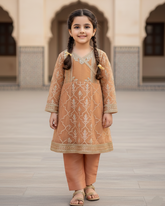 Hiba Fashion Peach Gold 2 PC Organza suit (BFC-0025)