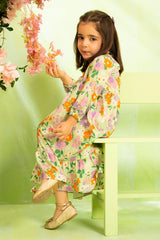 Ochre Clothing Toddler Western Printed Georgette Dress