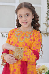 Shanzey Stitched Co Ords Emb Lawn With Chiffon Dupatta Suit-SHK-6104