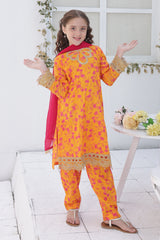 Shanzey Stitched Co Ords Emb Lawn With Chiffon Dupatta Suit-SHK-6104