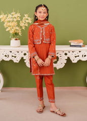 Modest Stitched 3 Piece Winter Edit Kids Suit-Girls Brown Embroidered Khaddar Suit