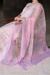 Noor By Saadia Asad Unstitched 3 Piece Luxury Chikankari Lawn'2024-D-11-A