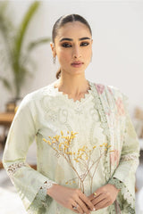 Shezlin By Aabyaan Unstitched 3 Piece Chikankari Ramadan Edit Collection'2024-AR-16-Meha