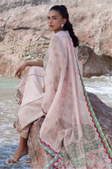 Afsanah By Seran Unstitched 3 Piece Lawn Chapter 01 Collection'2025-07-Insa