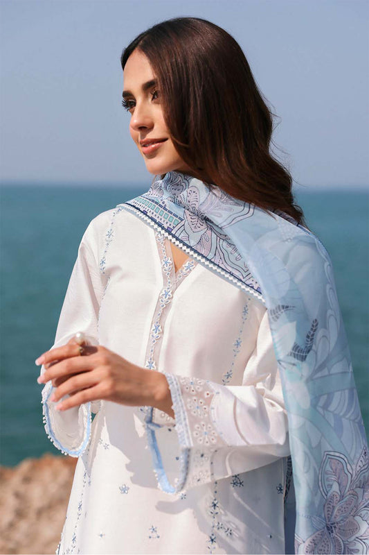 Afsanah By Seran Unstitched 3 Piece Lawn Chapter 01 Collection'2025-08-Elmas