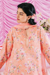 Rinesa by Ayzel Unstitched 3 Piece Lawn Vol-03 Collection'2024-AZL-01-Amel