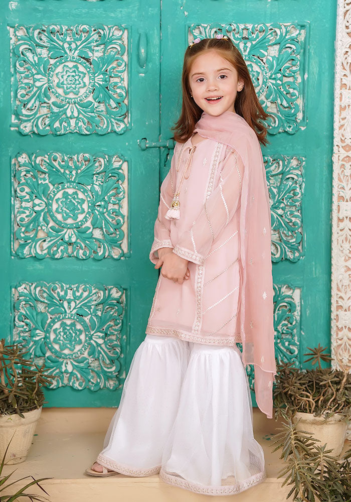 Ochre Clothing Chiffon Embroidered 3 Pc Suit
