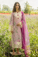 The Secret Garden Hemline By Mushq Unstitched 3 Piece Summer Collection'2025-01-A-Lavendar Whispers