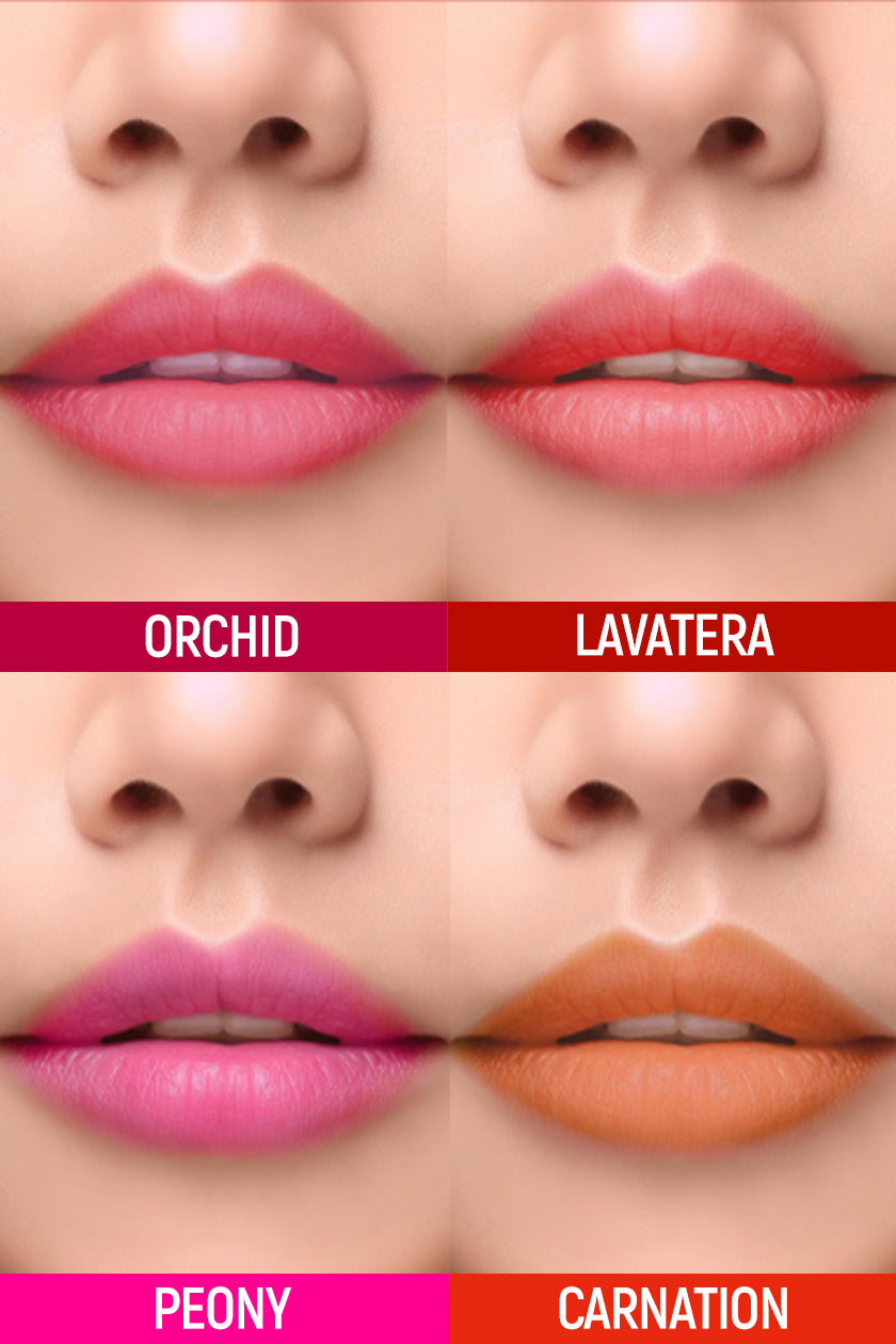 Color_Lavatera