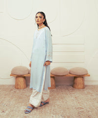 Vasl Pre Winter By Kross Kulture Stitched 2PC - Embroidered Self Textured Suit Suit-0001716-SML-IBL