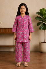 Aroob Stiched 2 Piece Printed Lawn Co-ord Set-D-0301-PINK