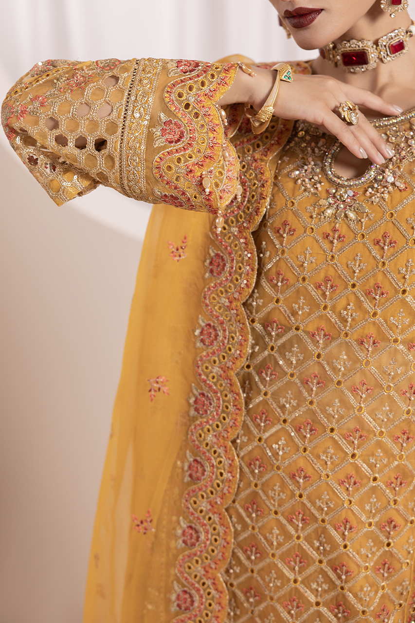 Aaraish By Diara Couture Stitched 3 Piece Formals Collection'2025-ZAFIA - US-646