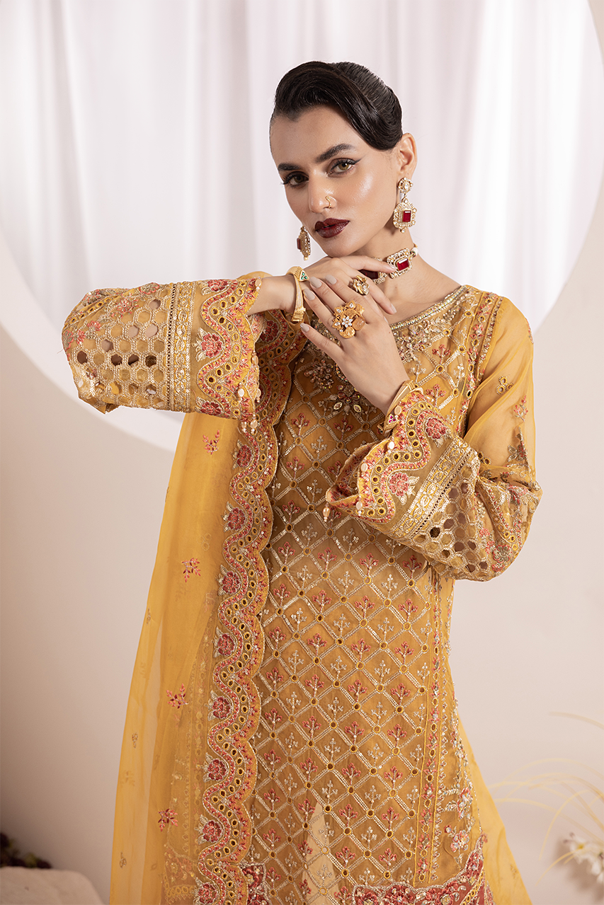 Aaraish By Diara Couture Stitched 3 Piece Formals Collection'2025-ZAFIA - US-646