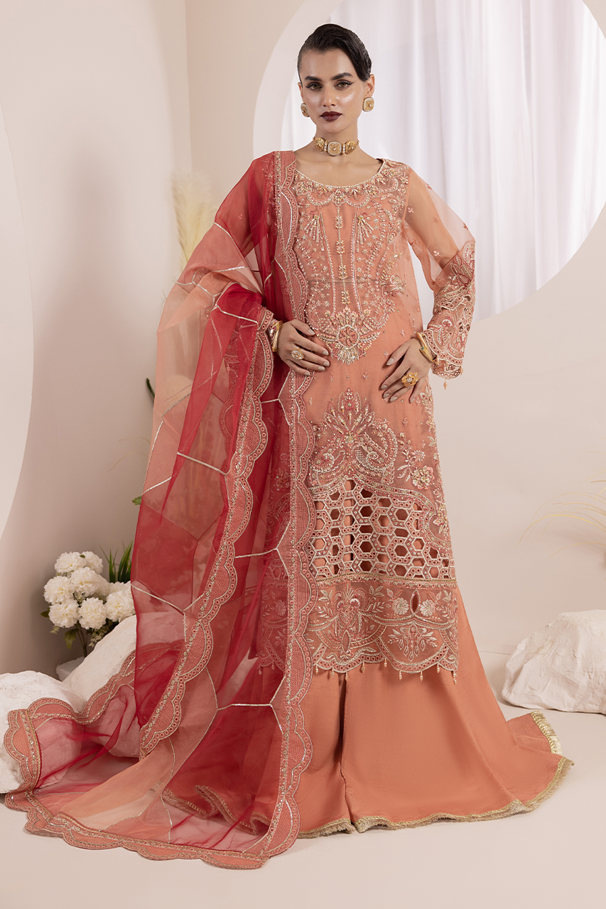 Aaraish By Diara Couture Stitched 3 Piece Formals Collection'2025-NOSHEEN - US-645