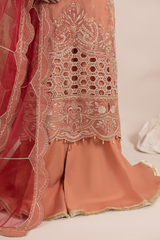 Aaraish By Diara Couture Stitched 3 Piece Formals Collection'2025-NOSHEEN - US-645