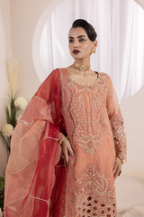 Aaraish By Diara Couture Stitched 3 Piece Formals Collection'2025-NOSHEEN - US-645