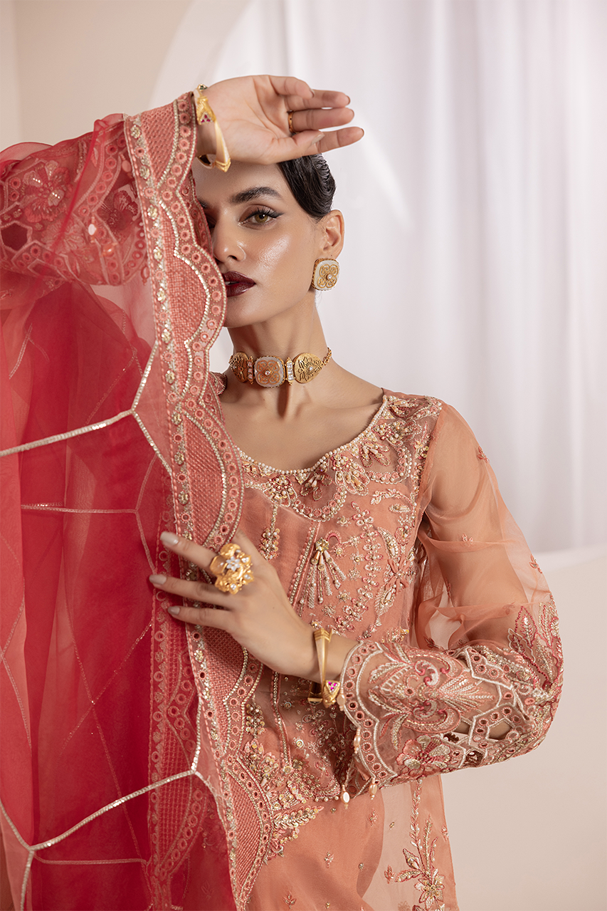 Aaraish By Diara Couture Stitched 3 Piece Formals Collection'2025-NOSHEEN - US-645