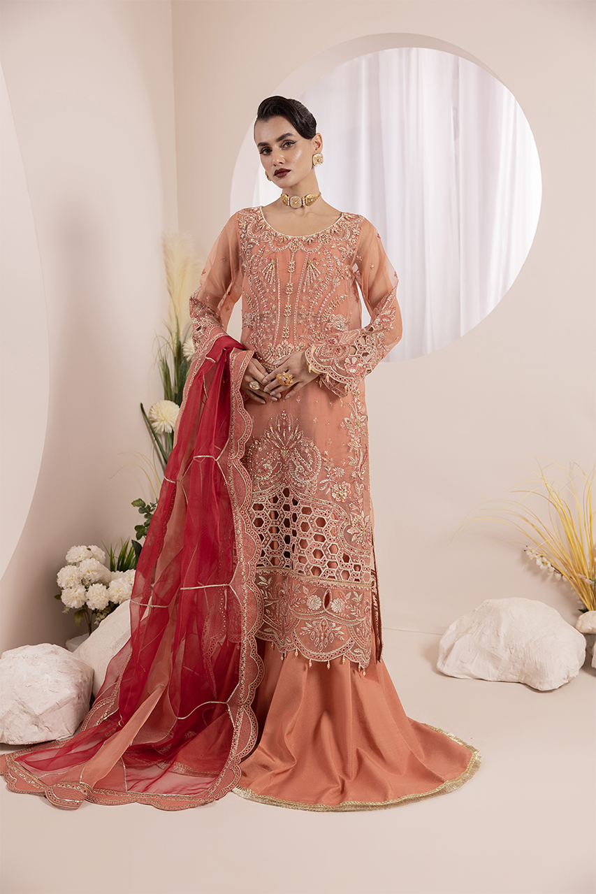 Aaraish By Diara Couture Stitched 3 Piece Formals Collection'2025-NOSHEEN - US-645