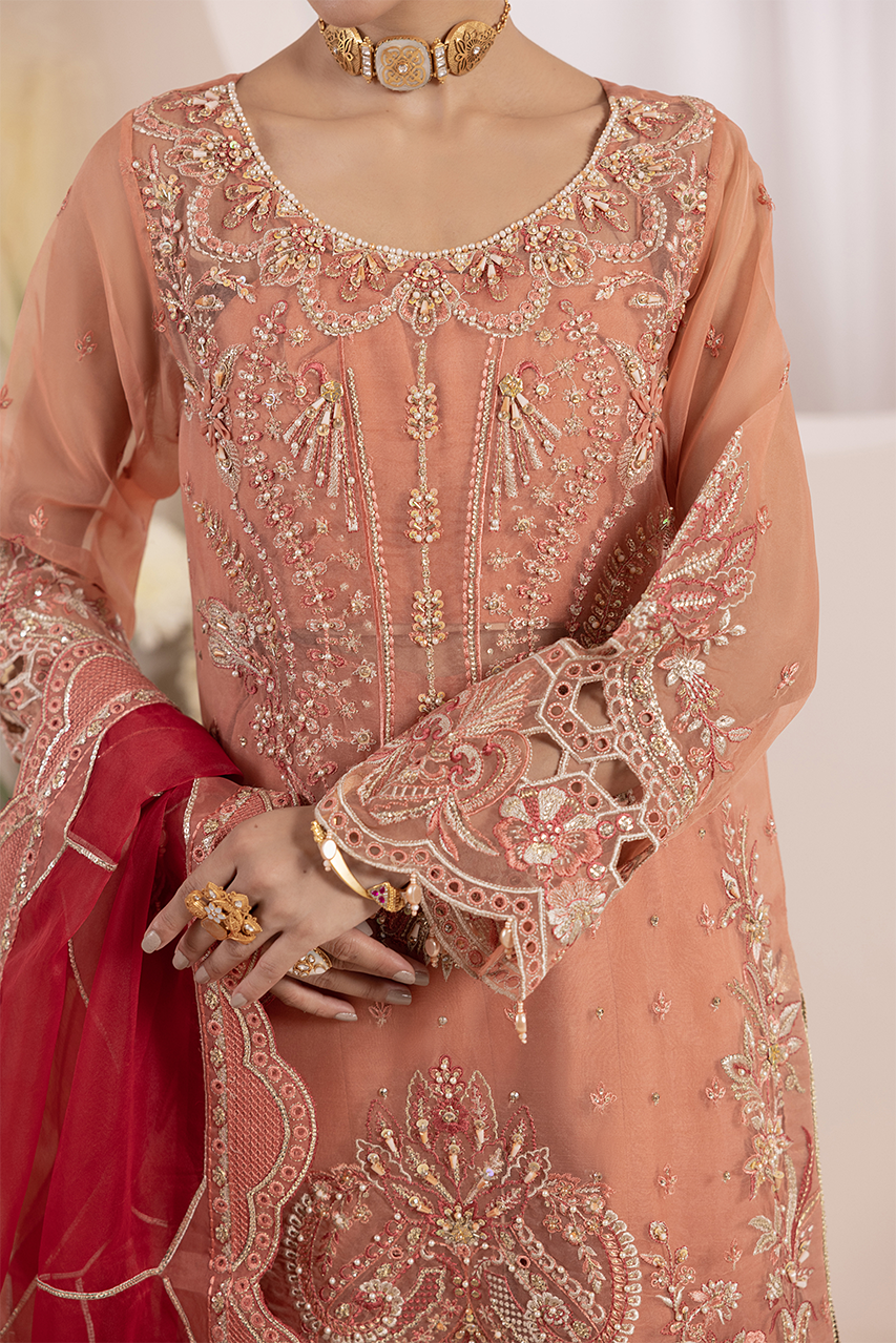 Aaraish By Diara Couture Stitched 3 Piece Formals Collection'2025-NOSHEEN - US-645