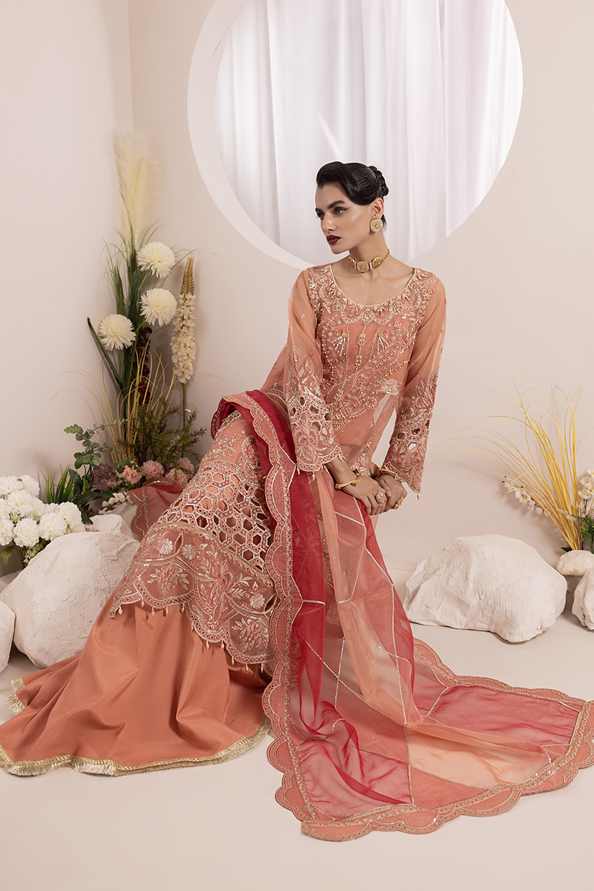 Aaraish By Diara Couture Stitched 3 Piece Formals Collection'2025-NOSHEEN - US-645