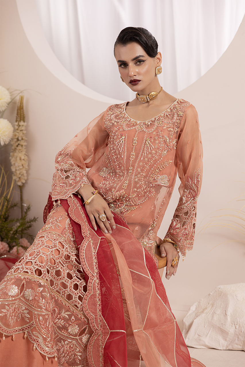 Aaraish By Diara Couture Stitched 3 Piece Formals Collection'2025-NOSHEEN - US-645