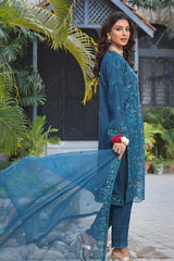 Kahani By Guzel Stitched 3 Piece Festive Formals Organza Collection'2024-05-Afsana