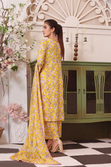 Feathers Unstitched 3 Piece Summer Collection-VASl-FT103