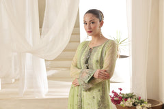 Tasbeena By Dressline Semi Stitched 3 Piece Luxury Chiffon Formals Collection'2025-Dressline > 63