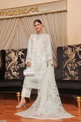 Haleema By Dressline Semi Stitched 3 Piece Organza Formals Collection'2025-haleema-L-semi-Stitched-green2