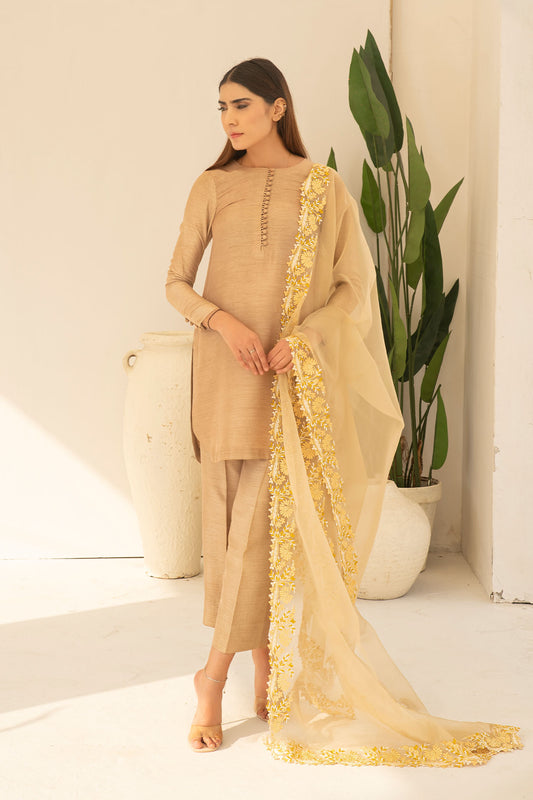 Jahanara By Aqsa Shehzad Stitched 3 Piece Luxury Festive Collection-09-Naaz