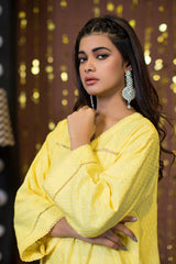 Urban Cut 1 Piece Cotton Chicken Kari Kurta