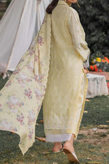 Adan's Libas Unstitched 3 Piece Chikankari Lawn Ch-02 Collection'2023-C-10