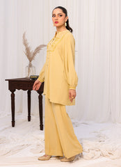 Zlooms 2 Pc Formal Co-Ord Set - ZL25-C01-05