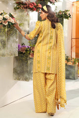 M.Basics By Maria B Unstitched 3 Piece Lawn Vol-01 Collection-11-A