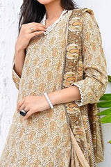 Amna Khadija Unstitched 3 Piece Wrinkle Free Prints Vol-18 Collection'2024-1101-B