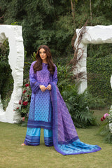 Sobia Nazir Unstitched 3 Piece Luxury Lawn Collection-D-12-B