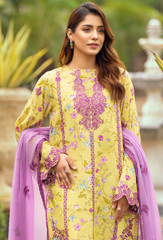 Diva By Humdum Unstitched 3 Piece Emb Karandi Collection'2024